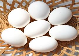 Open Egg Market (Daily Rate Sheet) Image